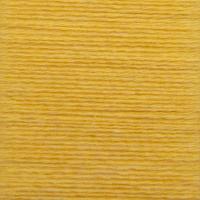 HD22257 BUFF YELLOW