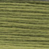 HD22103 PARROT GREEN