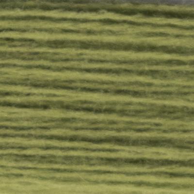 HD22103 PARROT GREEN