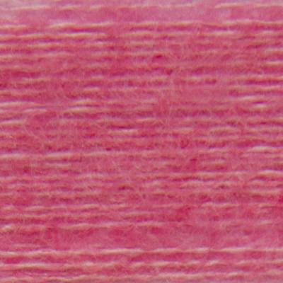 HD22314 WILD ORCHID MEL