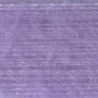 HD22460 VIOLET TULIP