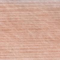 HD22487 APRICOT BLUSH