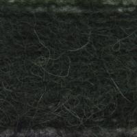 HD22297 TREKKING GREEN