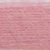 HD22273 MORNING GLORY