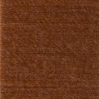 HD22663 BOMBAY BROWN