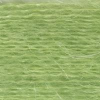 HD22677 SUMMER GREEN